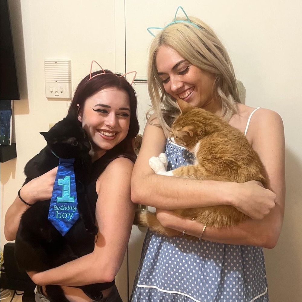 Cat Ears Hair Holder Metal Headband Pink Cat Ears